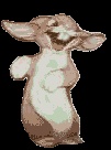 GIF von tanzenden Hasen und Kaninchen