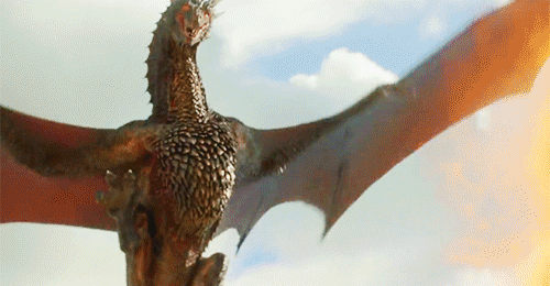 Dragons GIFs - 114 Animated Images For Free