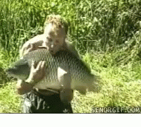 Fish GIFs - 190 Animated GIF Images - Download for Free!