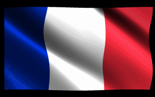 Bandera francesa GIFs - 23 imágenes tricolor animadas gratis