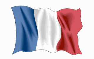 Bandiera francese sulle GIF - 23 immagini animate gratuite