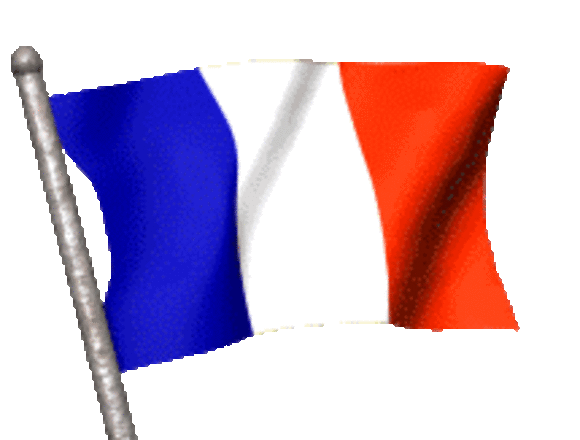 Drapeau français GIFs - 23 images tricolores animées gratuitement