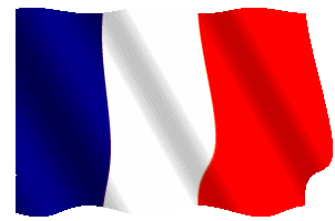 French Flag GIFs - 23 Animated Tricolor Images For Free