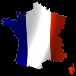 Bandeira francesa GIFs - 23 imagens tricolor animadas de graça