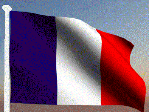 Bandera francesa GIFs - 23 imágenes tricolor animadas gratis