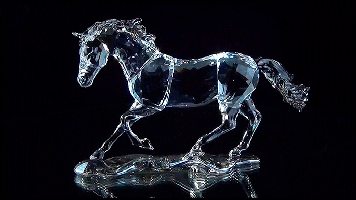 Гифки с красивыми лошадьми - Более 130 GIF