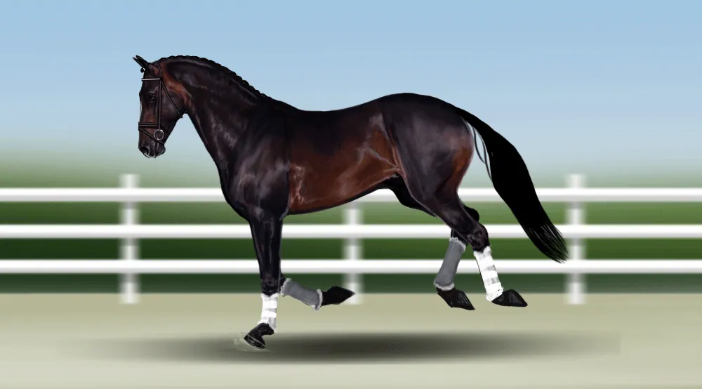 gif-horse-49.gif.webp