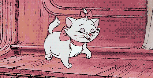 Šťastné kočky na GIFy - 35 animovaných obrázků koček v radosti
