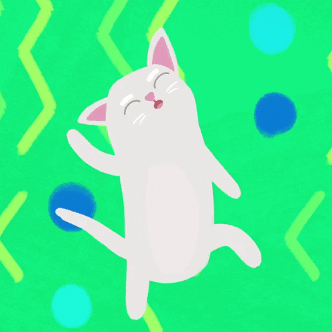 GIFs de gatos felizes - 35 imagens animadas de gatos em alegria