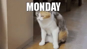 Happy Monday GIFs - 58 Funny Animated Images For Free