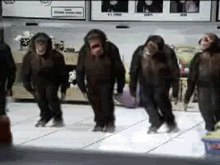 Gify Małpy za darmo - Słodkie, zabawne i tańczące małpy w GIF
