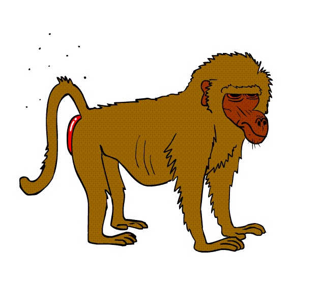 Гифки обезьян - Смешные, танцующие, милые обезьяны на GIF