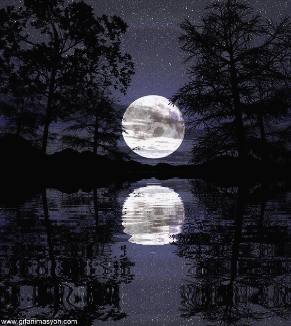 Moon Over Water Live Wallpaper v1.24 [Pro] - Platinmods.com - Android & iOS  MODs, Mobile Games & Apps