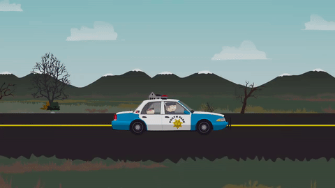 police-car-36
