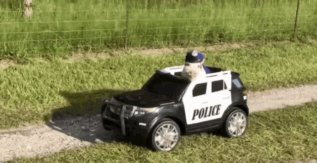 Des voitures de police sur des GIFs - 90 images animées