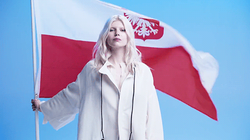 Bandeira polaca em GIF - 26 GIFs animados