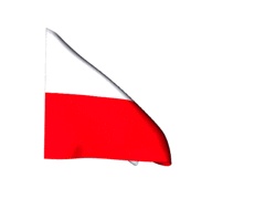 Polnische Flagge auf GIFs - 26 animierte GIF-Bilder