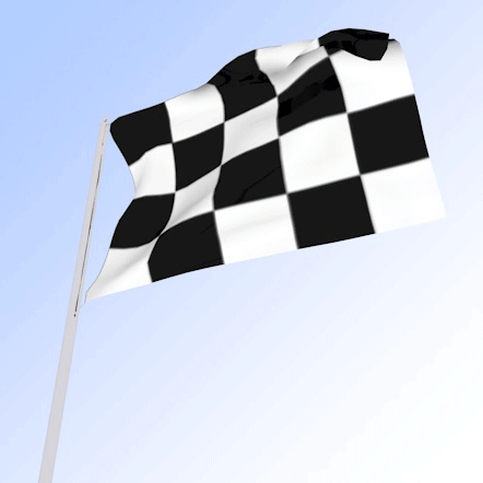 Rennflagge GIFs - 20 Zielflaggen am Ende des Rennens