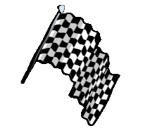 race-flag-8