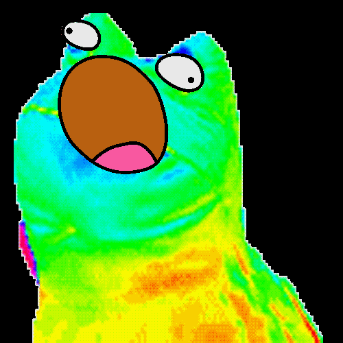 rainbow-frog-1