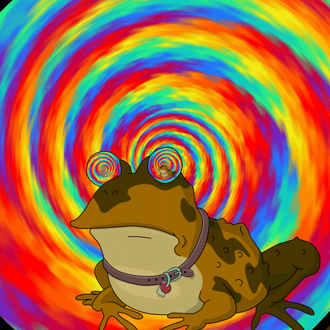 Гифки Радужная лягушка - Все варианты мема на GIF анимациях