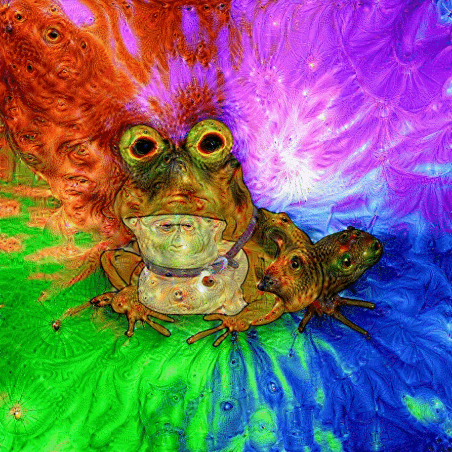 GIF de grenouille arc-en-ciel - Différentes versions de ce meme