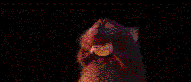 Szczury na GIFach - 80 animowanych obrazów tych gryzoni