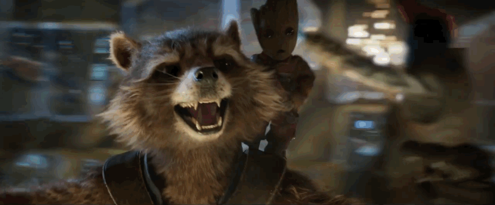 Rocket Raccoon da Marvel no GIF - 100 imagens animadas de graça
