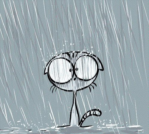 Smutné kočky na GIFech - 90 animovaných smutných mazlíčků