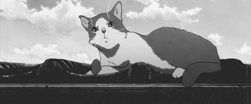 悲しい猫のGIF - 90アニメーションの悲しい猫