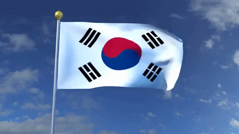 Bandiera della Corea del Sud sulle GIF - 23 immagini animate