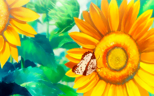 Solros GIF - 95 animerade GIF-bilder gratis