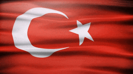 turkish-flag-24