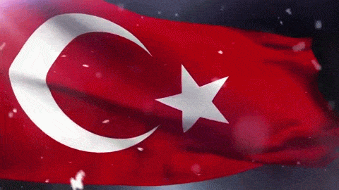 Turkish Flag GIFs - 50 Animated Images for Free