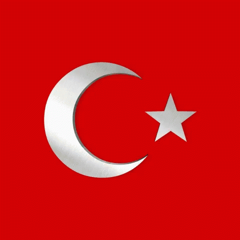 turkish-flag-30