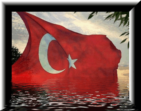 turkish-flag-34
