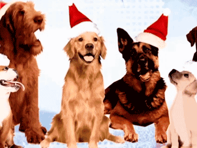 GIF de perros navideños