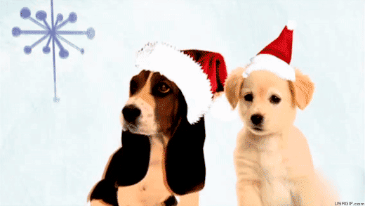 Christmas Dogs GIFs