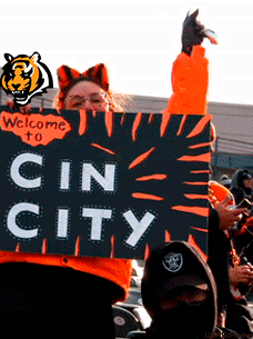 Cincinnati Bengals GIFs