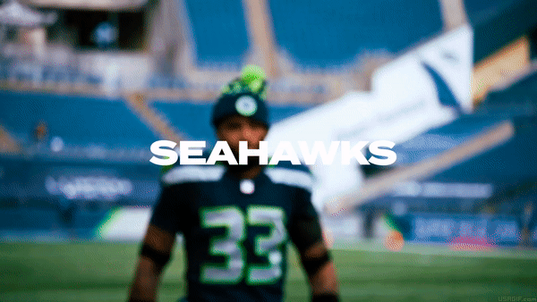 Seattle Seahawks GIFs