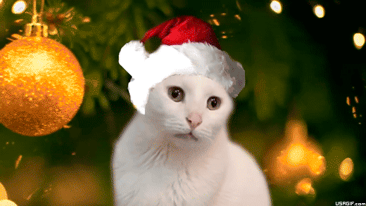 Cat Christmas GIFs