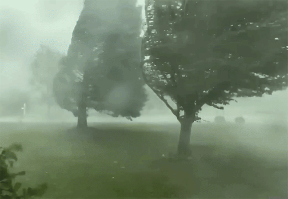 Windy Weather GIFs USAGIF