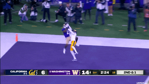 52-washington-huskies-touchdown