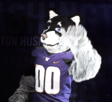 61-washington-huskies-mascot-hello