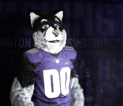 62-washington-huskies-mascot-thumbs-up