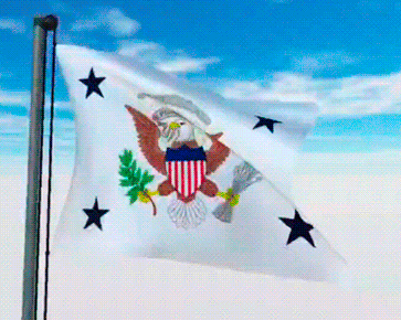 USA Military Flags GIFs