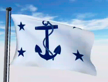 USA Military Flags GIFs