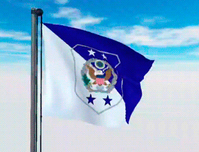 USA Military Flags GIFs