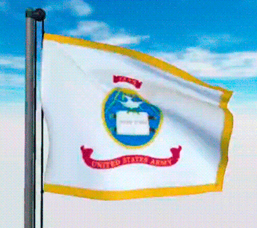 USA Military Flags GIFs