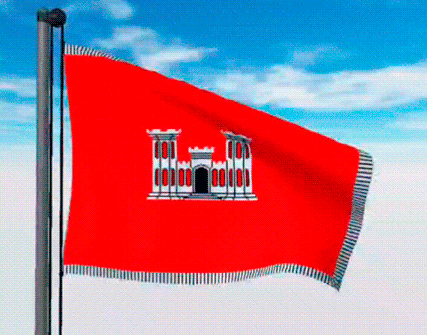 USA Military Flags GIFs